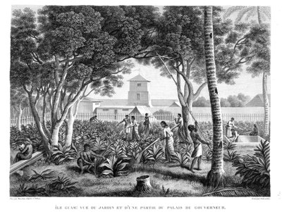 Isola di Guam: Nativi al lavoro nel giardino del Palazzo del Governatore, da 